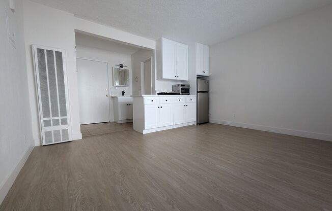 Studio, 1 bath, 265 sqft, $1,299, Unit 221