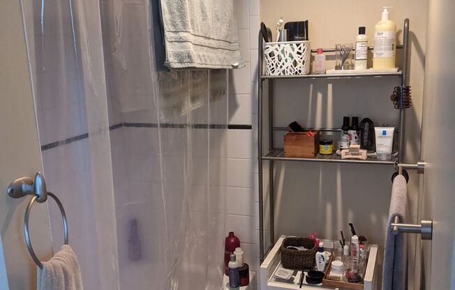 South End 1 bedroom for 9/1 on Tremont Street
