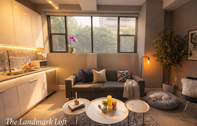 1 bed, 1 bath, 555 sqft, $2,250, Unit 207