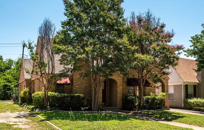 TCU Bluebonnet Circle