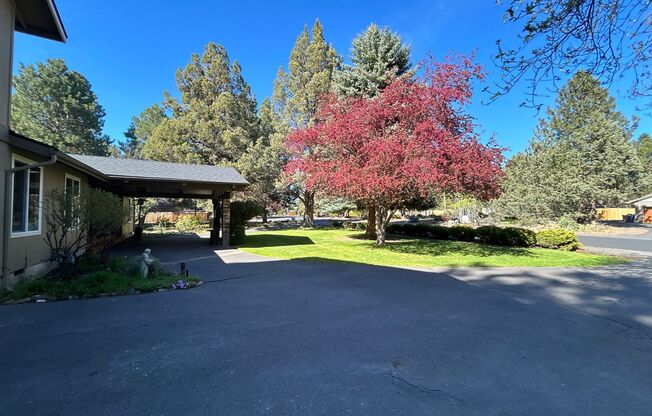 Country Living In The City - 3 Bedroom / 2 Bathroom Home on a Large Corner Lot