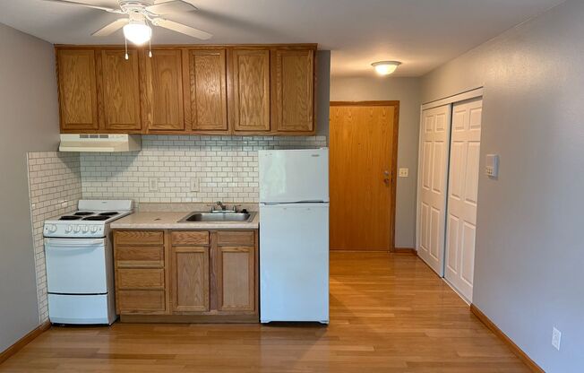 Studio, 1 bath, 350 sqft, $1,055, Unit Unit 203