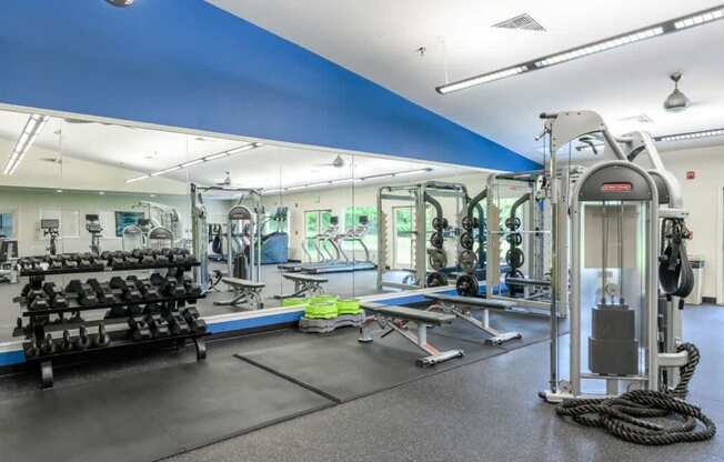 A gym with a variety of equipment including weights, a bench, and a rope.