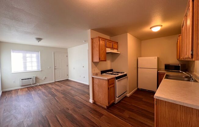 1 bed, 1 bath, 600 sqft, $1,095, Unit 475 E Cedar St. - #20