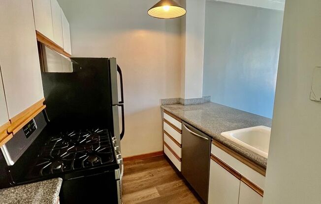 Luxurious Condo Living in Prime Cow Hollow Location!