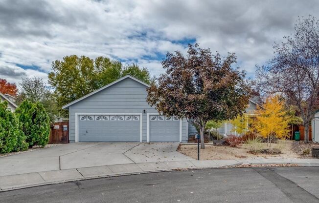 Southwest Reno Hidden Gem - Stunning Back Yard!