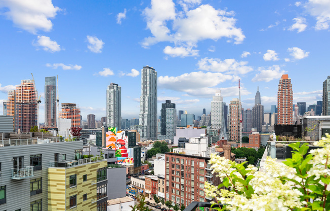 1 bed, 1 bath, $4,200, Unit 417