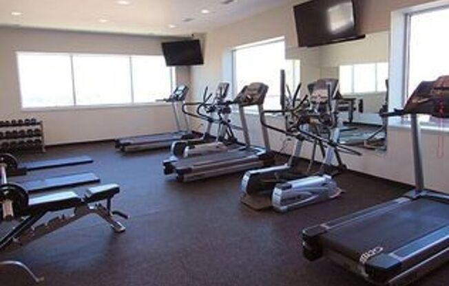 1 bed, 1 bath, 704 sqft, $1,230, Unit 412