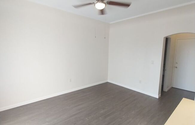 Studio, 1 bath, 341 sqft, $1,495, Unit 305