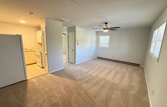 1 bed, 1 bath, 450 sqft, $1,050