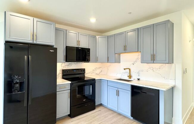 1 bed, 1 bath, 487 sqft, $1,095, Unit 307