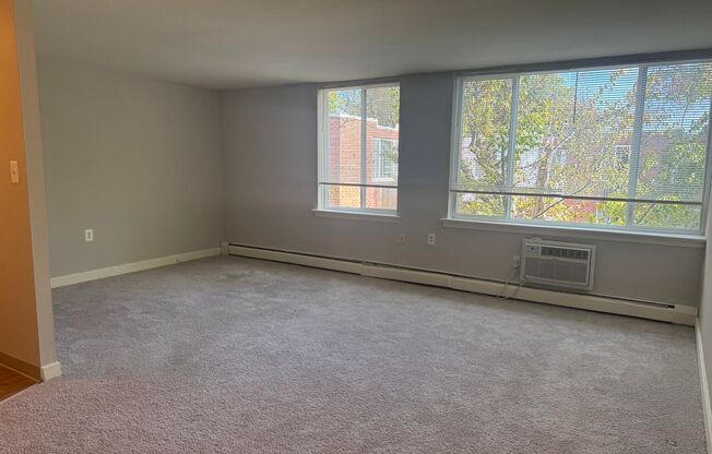 1 bed, 1 bath, 600 sqft, $1,185, Unit 241