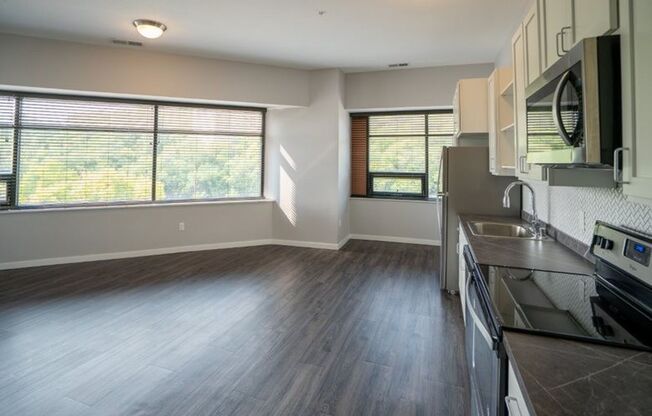 Studio, 1 bath, 554 sqft, $1,050, Unit 161401