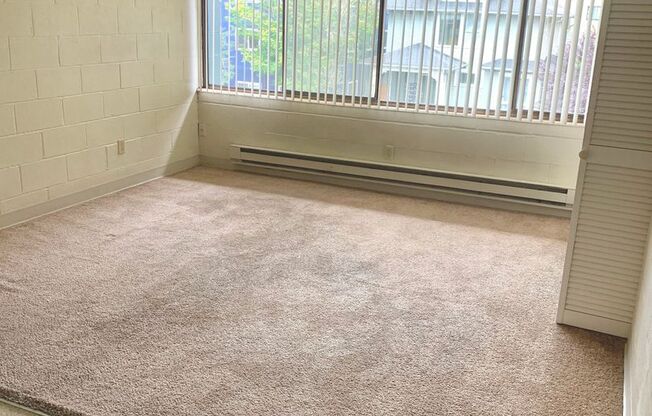 Studio, 1 bath, 302 sqft, $1,100, Unit 409