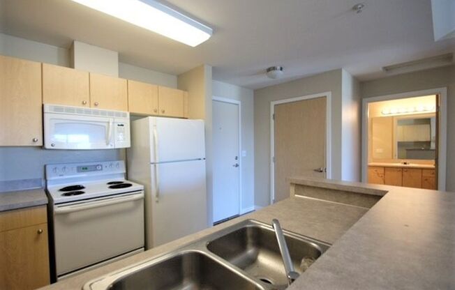 1 bed, 1 bath, 650 sqft, $1,650, Unit 307