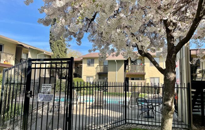 2 beds, 1 bath, $1,695, Unit 03