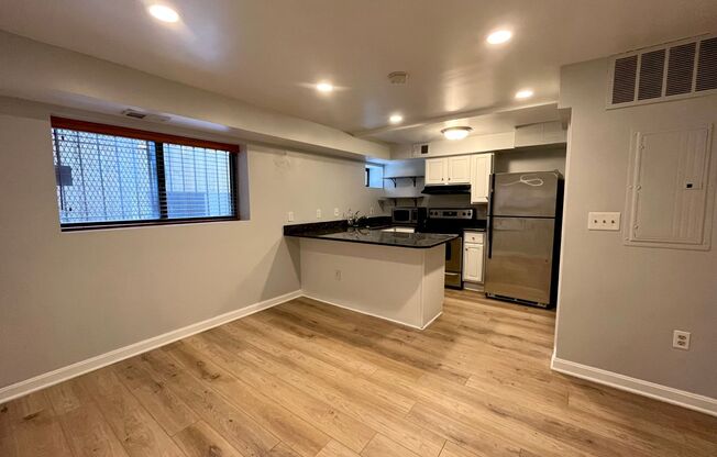 Lavish Lower Level 1 BR/ 1 BA Condo in Columbia Heights!