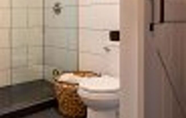 Studio, 1 bath, $1,145, Unit 233