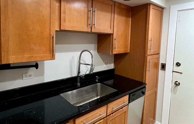 Amazing 1 Bed / 1 Bath Unit Just REHABBED! Rosemont Entertainment District! Parking and Storage INCLUDED!