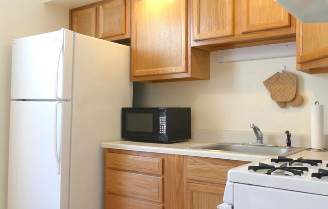 1 bed, 1 bath, $1,350, Unit Apt 1