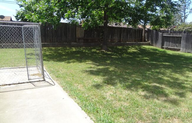 Roomy yard in Rancho Cordova!  Coming Soon!