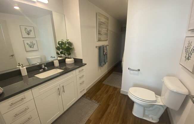 a bathroom with a toilet and a sink and a mirror