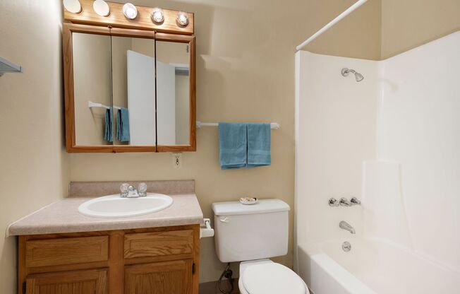 Large 3 Bedroom Apartments PET FRIENDLY!