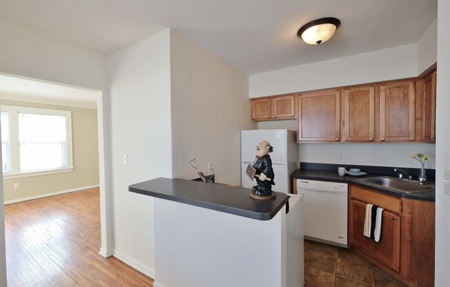 1 bed, 1 bath, 527 sqft, $1,050