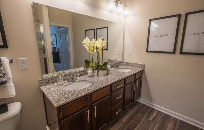 Luxurious Bathrooms at Abberly CenterPointe Apartment Homes by HHHunt, Midlothian