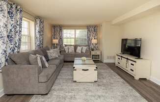 A living room with a grey couch, a coffee table, and a television.
