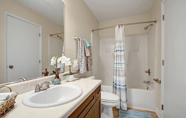 Bathroom, shower bath, solid surface countertops, toilet, large mirror