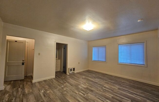 1 bed, 1 bath, 500 sqft, $725, Unit 101