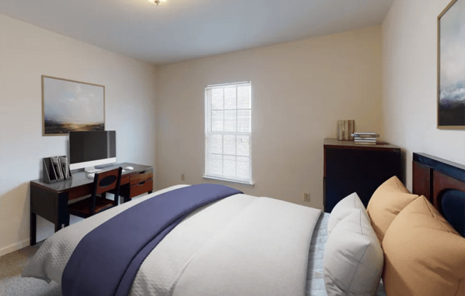 Studio, 1, and 2 Bedroom Apartments