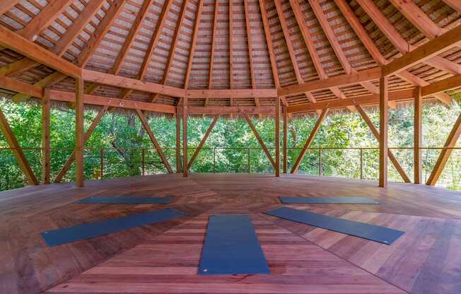 Stone mountain, ga, apartment a yoga room with yoga mats on the floor and trees in the background