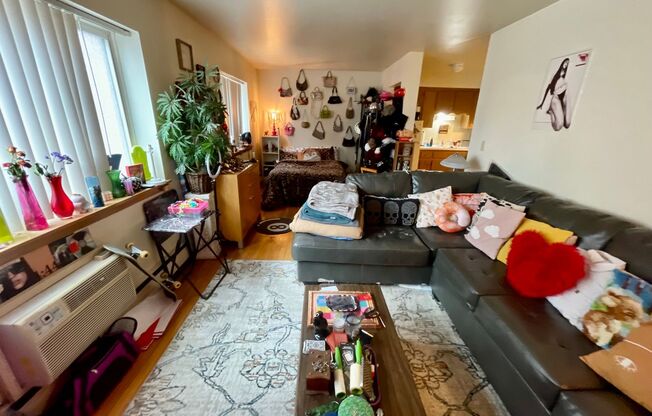 Studio, 1 bath, $895, Unit 202