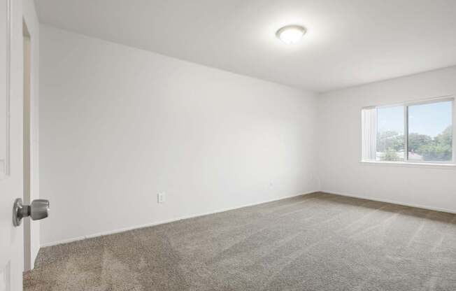 A room with a carpeted floor, a door, and a window.