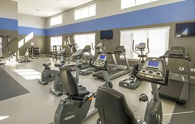 A gym with treadmills and elliptical machines.