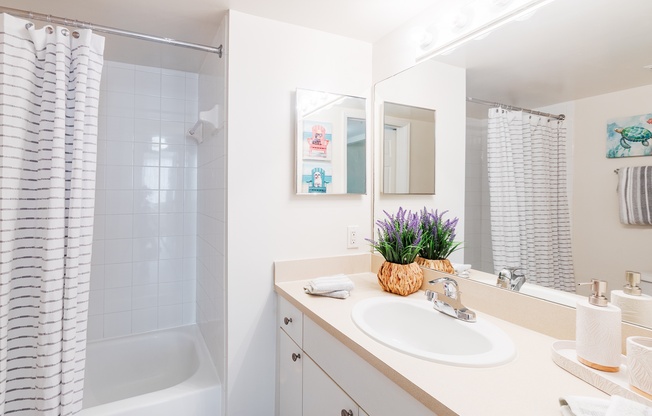 a bathroom with a sink and a shower and a mirror