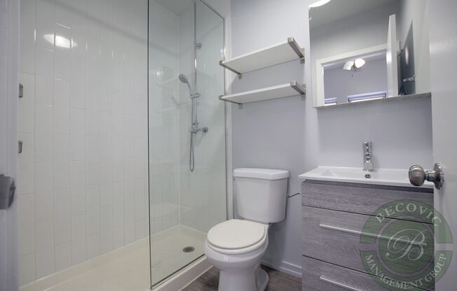Studio, 1 bath, 201 sqft, $1,340, Unit 415