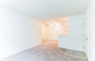 a living room with white walls and carpet