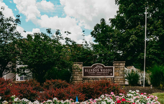 Blendon Woods - 11