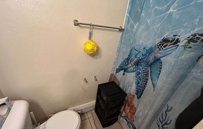 1 bed, 1 bath, $850, Unit 315