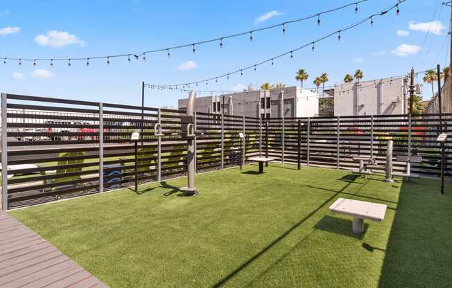 a grassy area with a bench and string lights