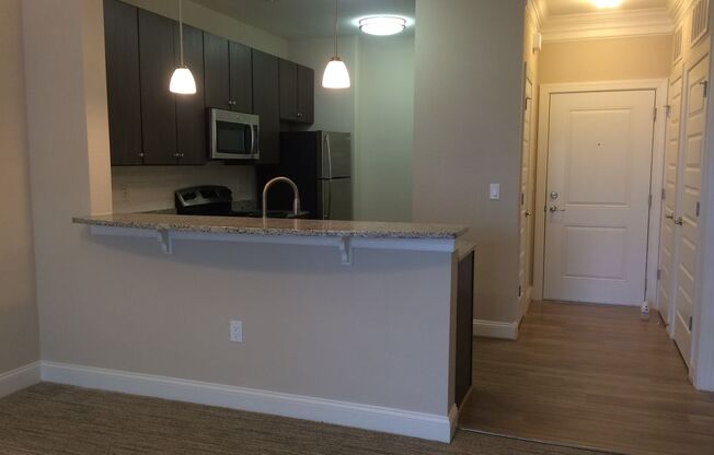1 bed, 1 bath, 825 sqft, $1,699, Unit 00 - 800127