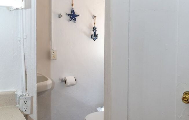 Studio, 1 bath, 196 sqft, $1,095, Unit 19