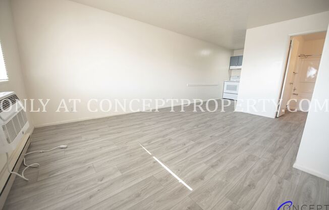 Studio, 1 bath, 360 sqft, $699, Unit 238