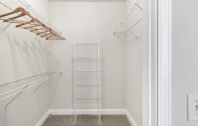 a walk in closet with white walls and a wire closet organizer