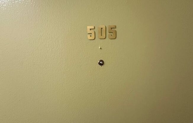 1 bed, 1 bath, 548 sqft, $1,347, Unit 505A