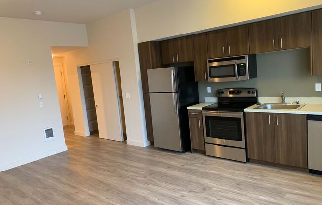 Studio, 1 bath, 433 sqft, $1,400, Unit 221