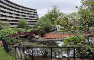 1 bed, 1 bath, 606 sqft, $1,950, Unit 416